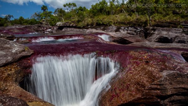 Caño Cristales