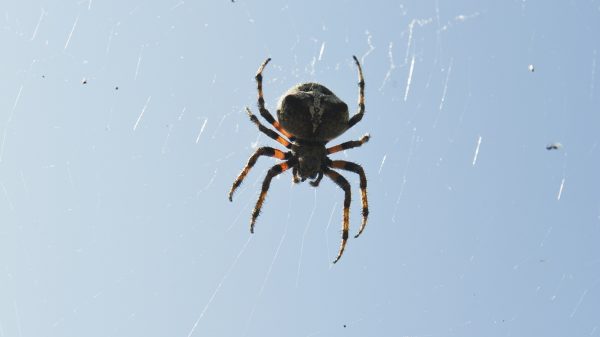 Spin ongeluk schoonmaakbedrijf