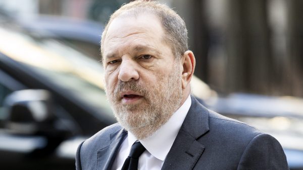 harvey weinstein schikking