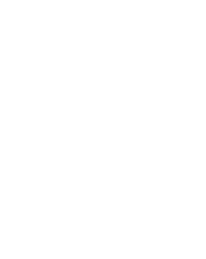 Zarayda Rules logo