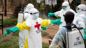 Thumbnail voor Overlevingskans ebola omhoog door ontdekking veelbelovende medicijnen