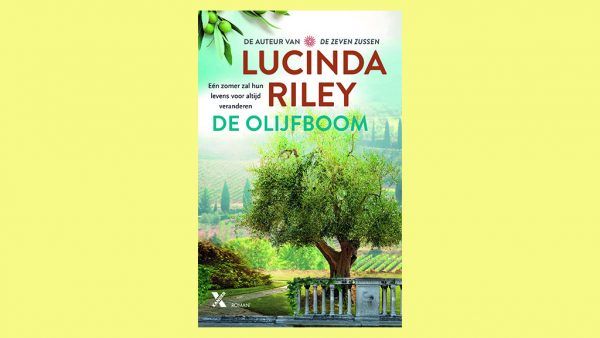 de olijfboom