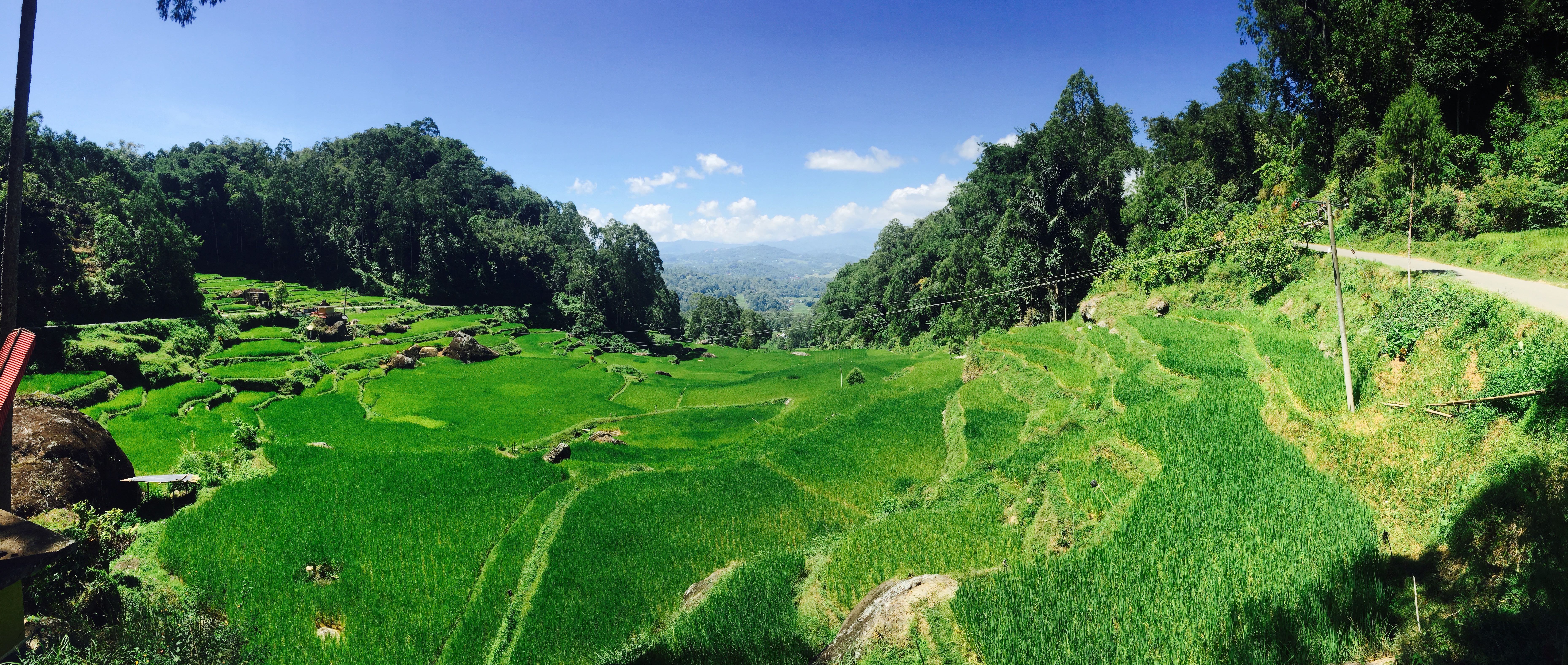 Interview Puck Teulings over haar bezoek aan de Toraja-stam op Sulawesi