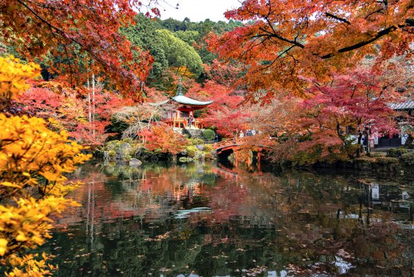 Red Maple Tree Garden and Bentendo Hall of Daigoji Temple in Autumn, Kyoto, Japan