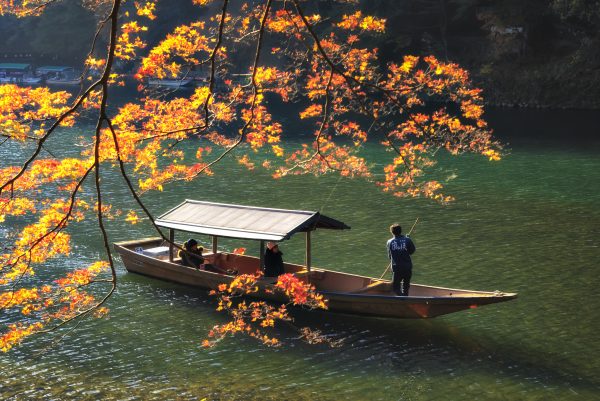 Tourist Boat along Hozugawa River in Autumn, Arashiyama, Kyoto, Japan