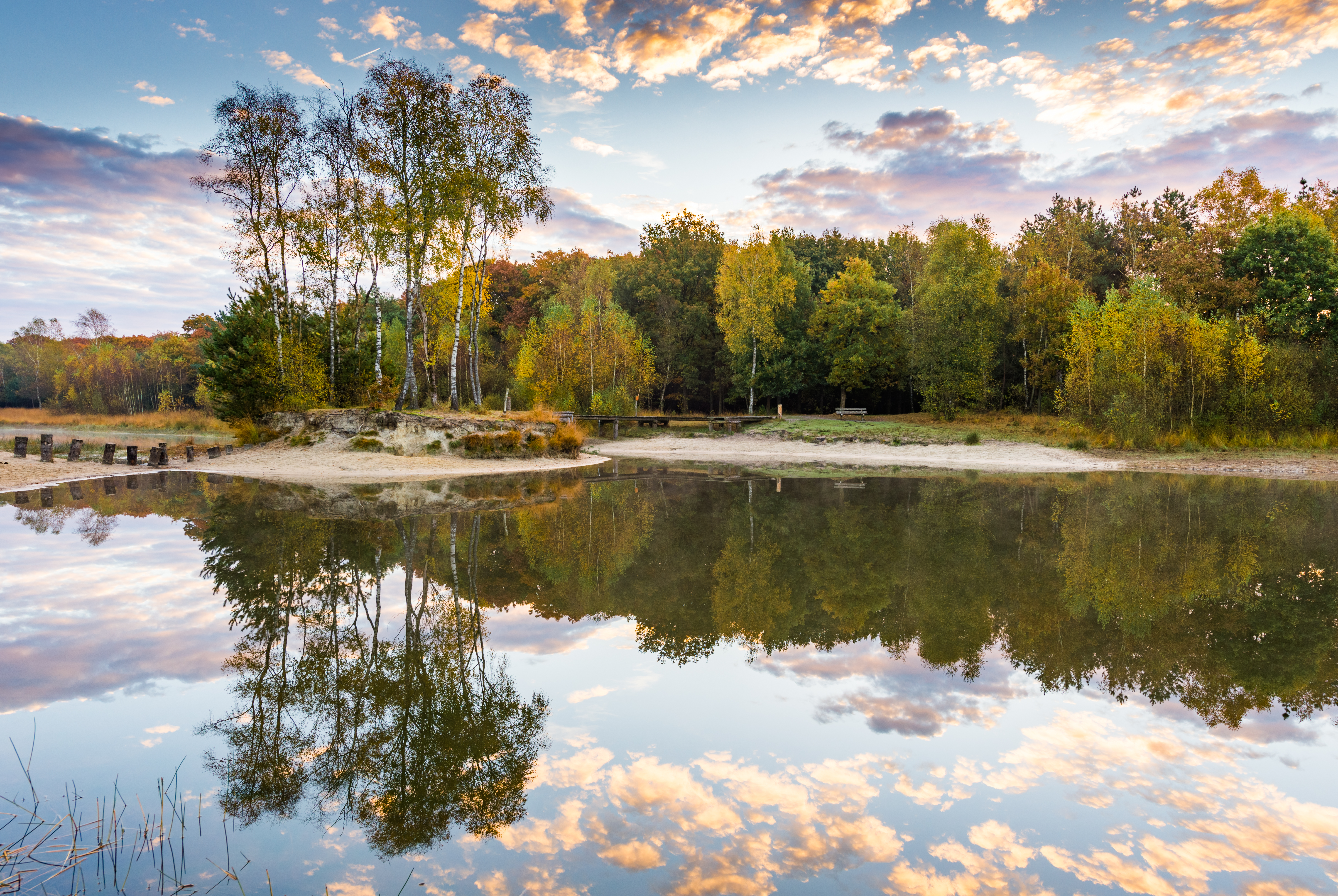 Nationaal park de hoge veluwen