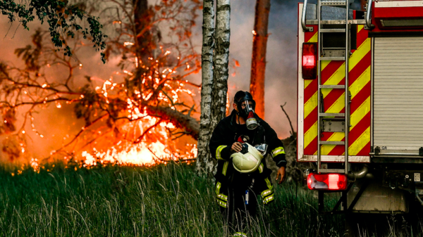 brandweer-roept-op-bermen-met-spoed-te-maaien-vanwege-dreiging-natuurbranden