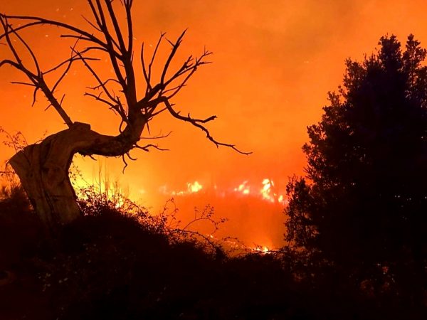Zuid-Frankrijk opgeschrikt door bosbranden, duizenden toeristen geëvacueerd
