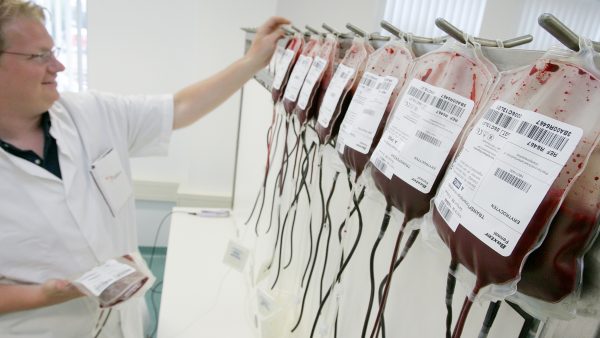 bloed-donatie-homo-partijen
