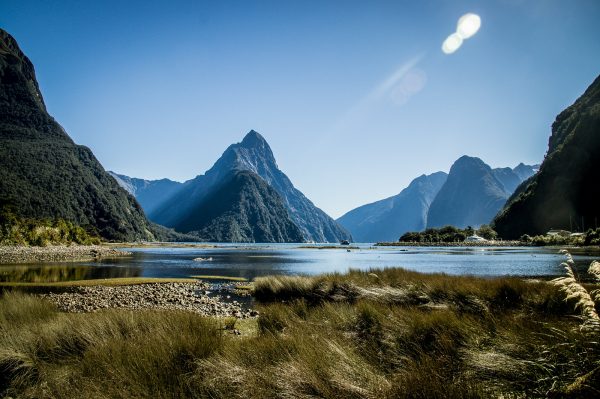 milford sound foter