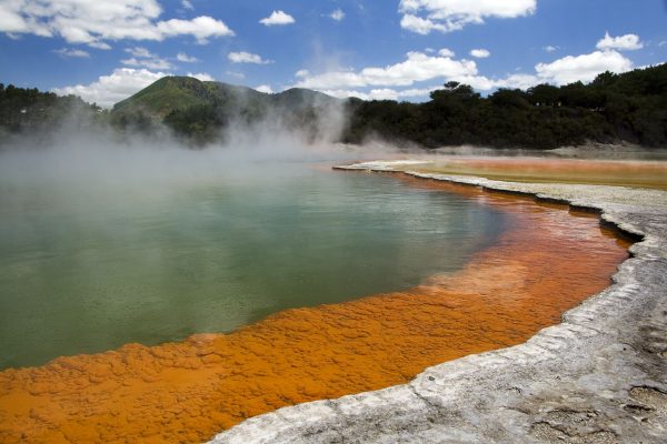 rotorua foter nieuw-zeeland