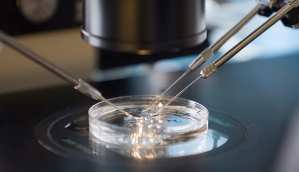 ivf niet werkzaam sperma