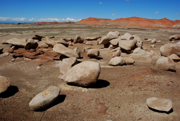 bisti badlands foter