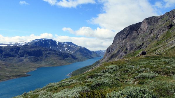 jotunheimen foter