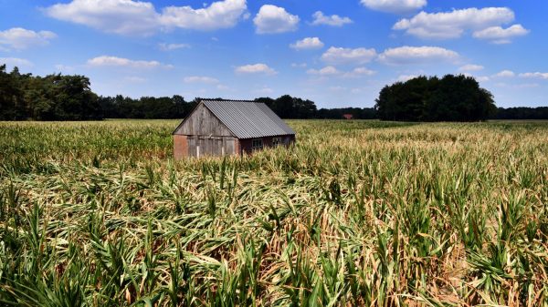 droogte-landbouw-klimaatpanel