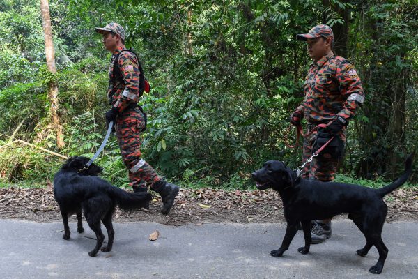 honden zoektocht Nora