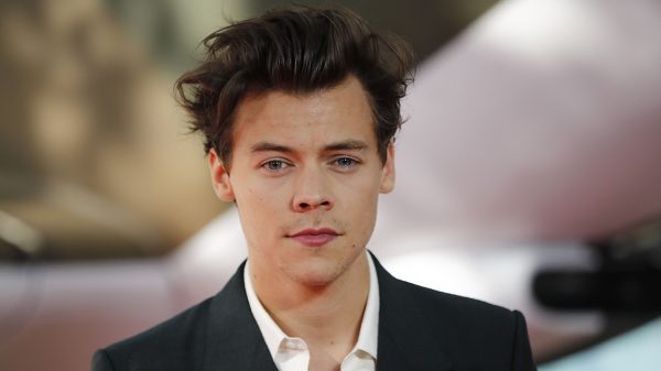 Harry Styles Kleine Zeemermin