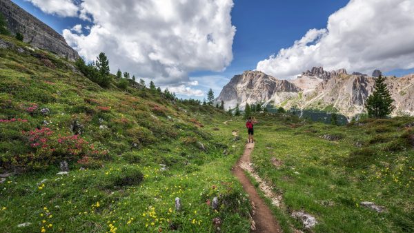 Wandelen Oostenrijkse Alpen