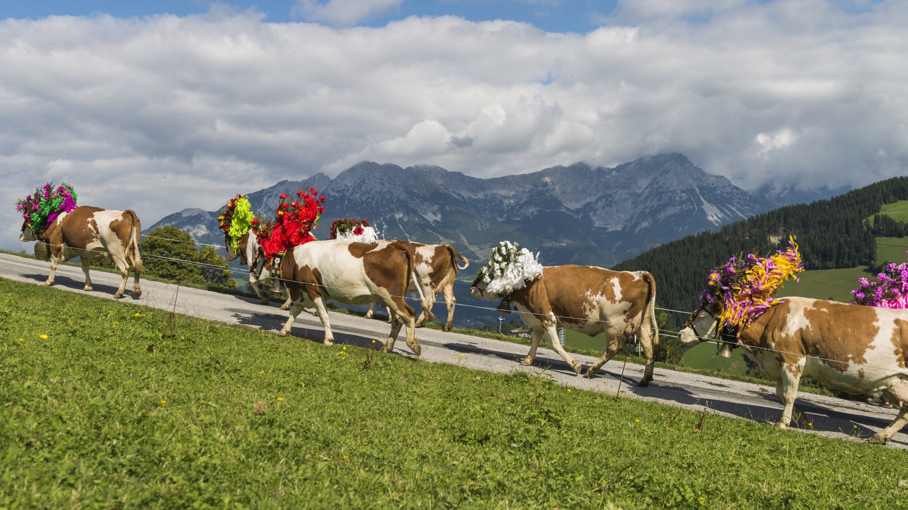Almabtrieb