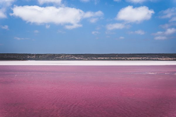 Pink lake 