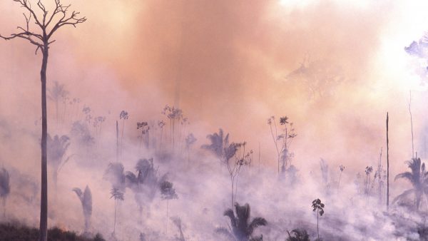 branden amazonegebied