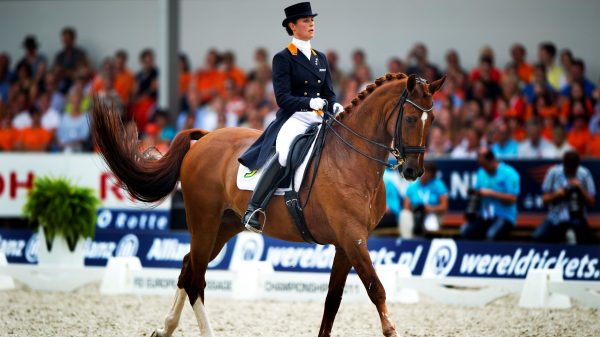 EK-paardensport-dierenactivisten