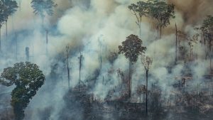 Thumbnail voor Duizenden bosbranden in Amazonegebied, president Brazilië ontkent situatie