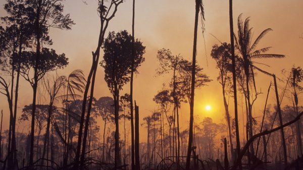 Brazilië staat na enige scepsis toch open voor buitenlandse steun