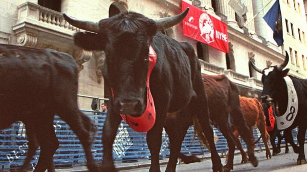 stier stierenrennen man overleden Spanje dood