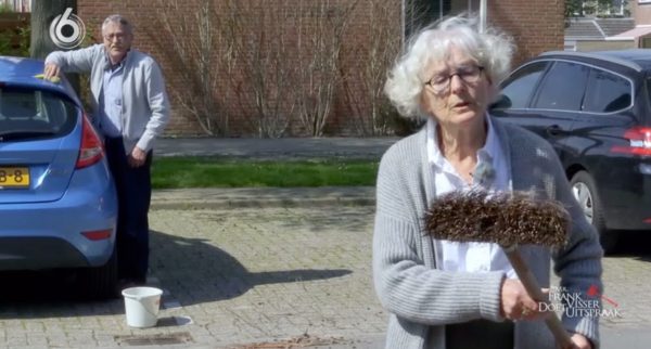 Bomenruzie in Mr. Frank Visser