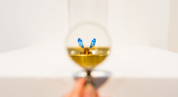 Kleinste kunstwerken ter wereld micro art