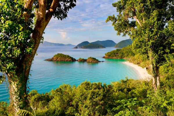 Trunk Bay