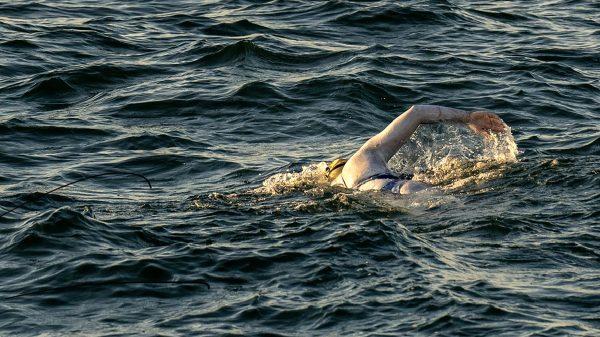 sarah thomas maarten van der wijden zwemmen record