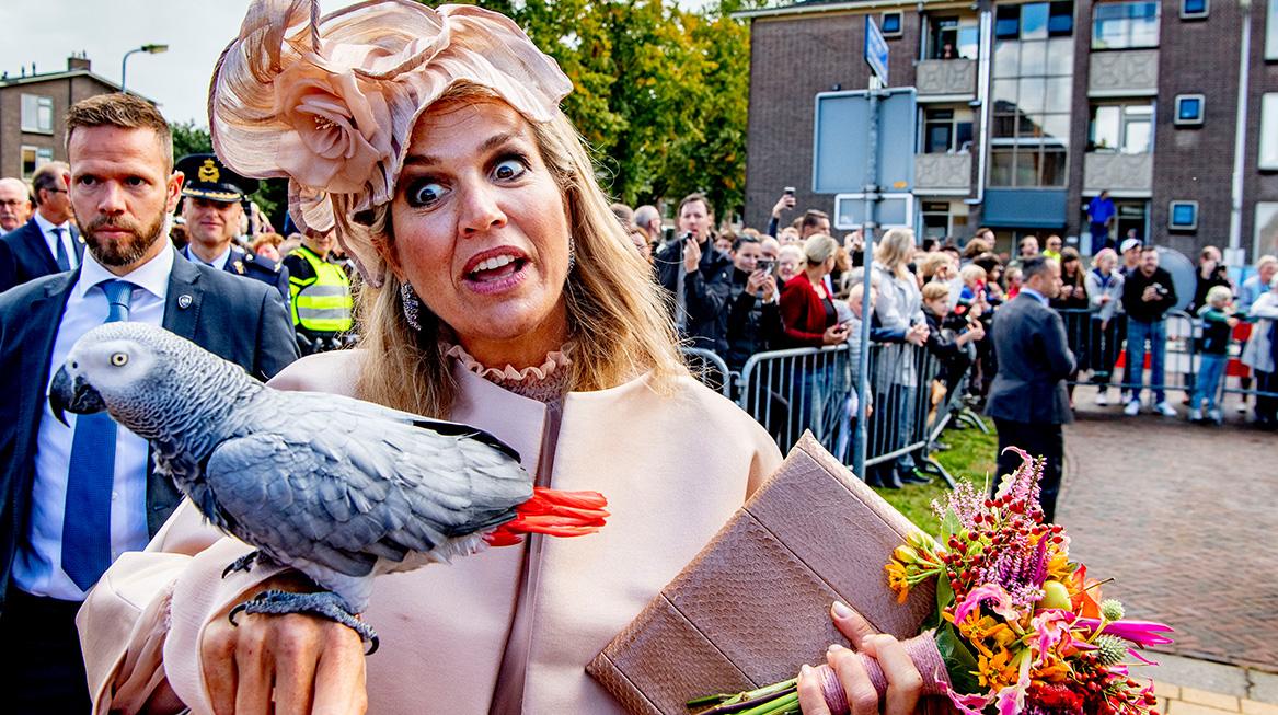 Koningspaar bezoekt Zuidwest-Drenthe papegaai2