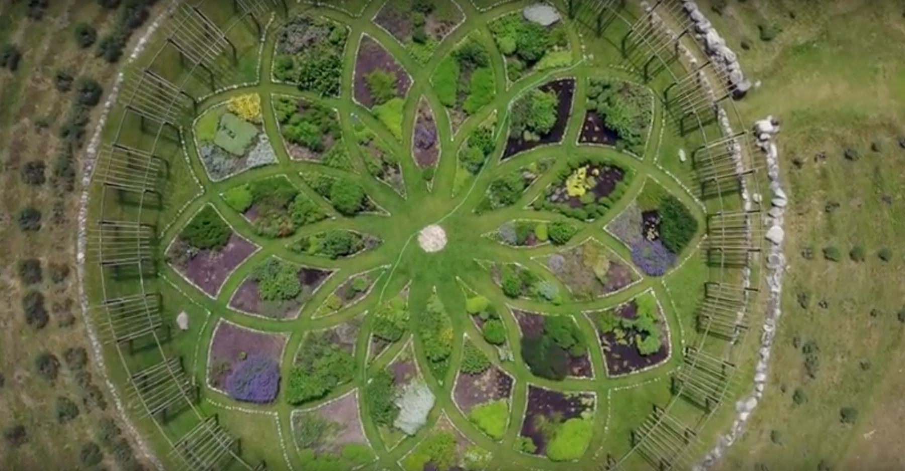 lavendel-doolhof Cherry Point Farm & Market