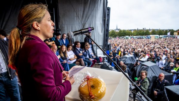 schouten belooft boeren: geen halvering van de veestapel