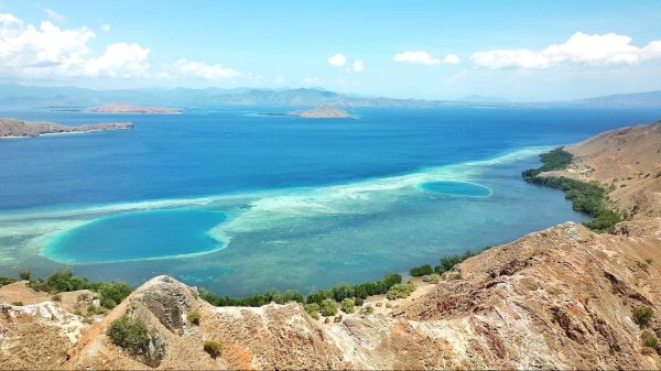 Komodo eiland