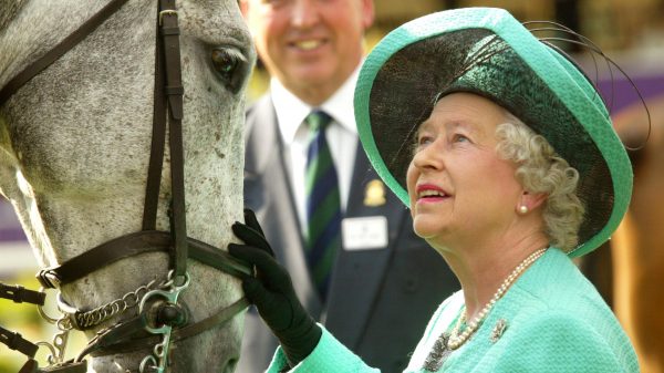 koningin-elizabeth-paardenverzorger-buckingham-palace