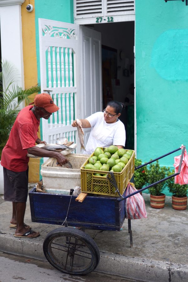 reizen door Colombia