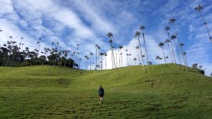 Thumbnail voor Twijfels over reizen door Colombia? Niet nodig: 5 x waarom je juist nú wil gaan