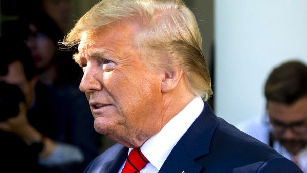 trump abonnement fake news president