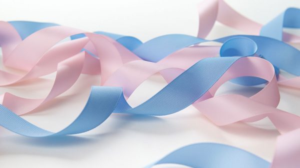 Amerikaanse-vrouw-overlijdt-tijdens-gender-reveal-party-door-explosie