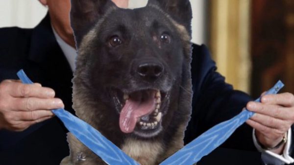 president trump hond conan is-leider al-baghdadi neofoto neonieuws heldenontvangst washington