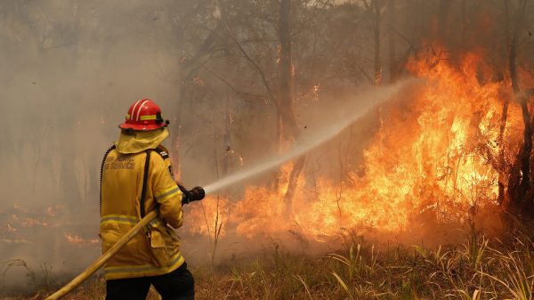 Australië ontruimt deel van Canberra vanwege nieuwe bosbranden