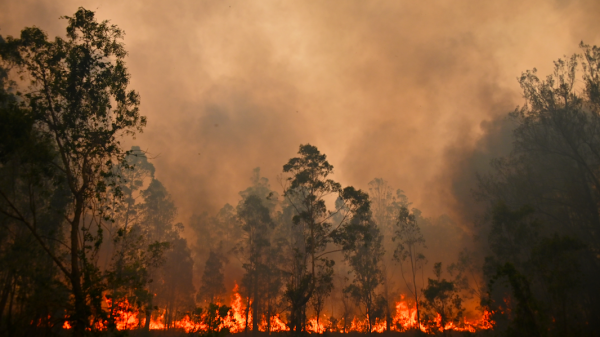 bosbranden australie noodtoestand