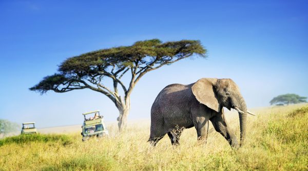 5x dit zijn de mooiste nationale parken van Zuid-Afrika