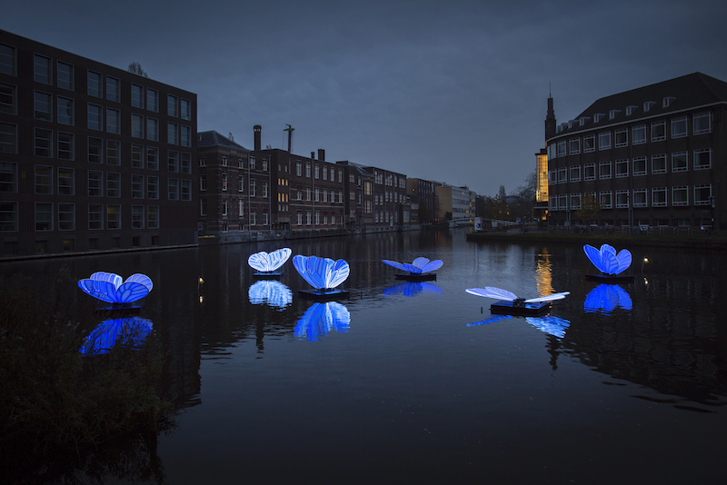 Amsterdam Light Festival Masamichi Shimada