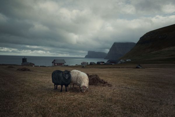 de Faeröer eilanden