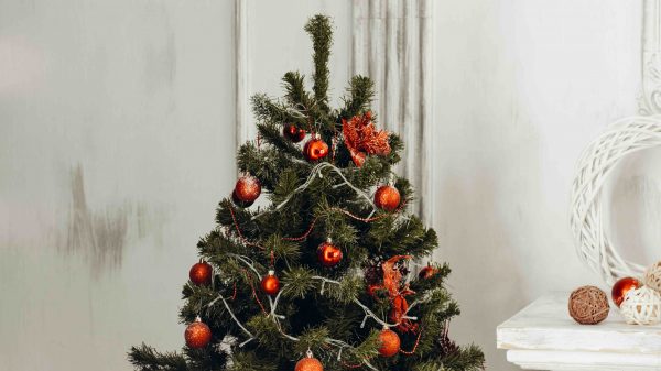 kerstboom-groter-populair-twee-meter