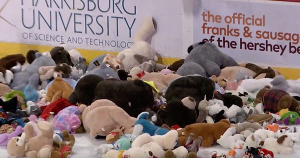 teddy-bear-toss-knuffels-goede-doelen-ijshockey
